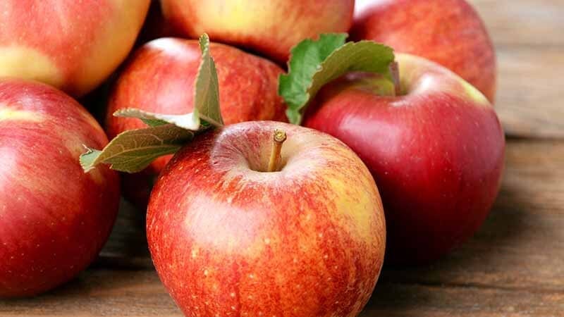 apples-recipes