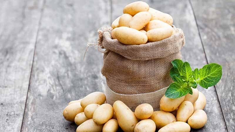 babypotatoes-recipes