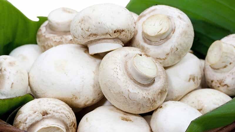 buttonmushrooms-recipes