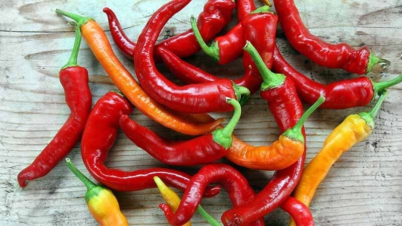 chilipepper-recipes